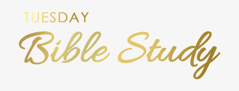 Berean Christian Academy - Stella And Dot Giveaway, transparent png #2386019