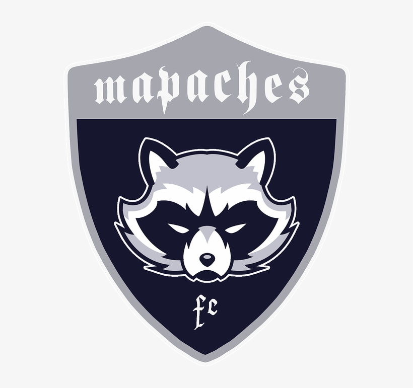 Shields, Raccoons, Football, Coat Of Arms - Raccoon, transparent png #2387117