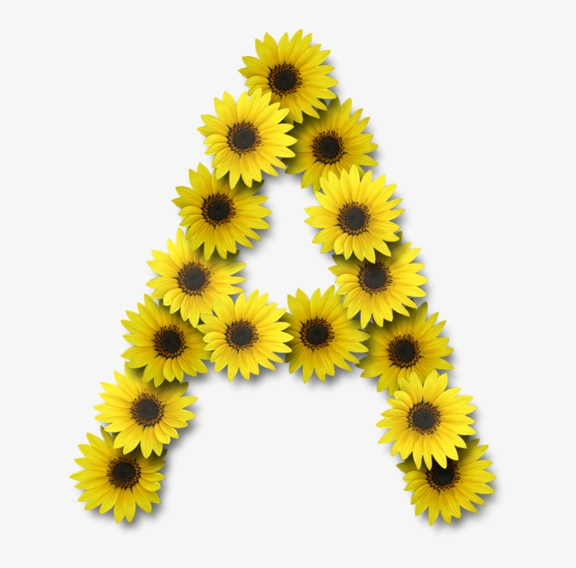 Alfabeto Florido Girassol Png - Letter A In Sunflower, transparent png #2387294