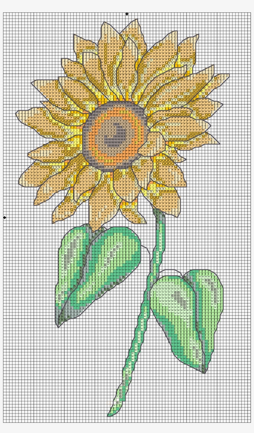 Girasol - Flower, transparent png #2387414