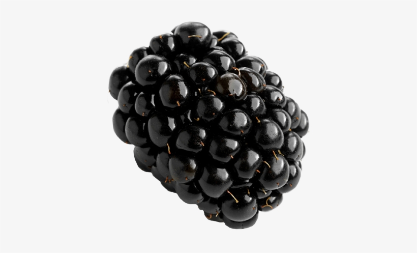 Blackberry Png Picture, transparent png #2388815