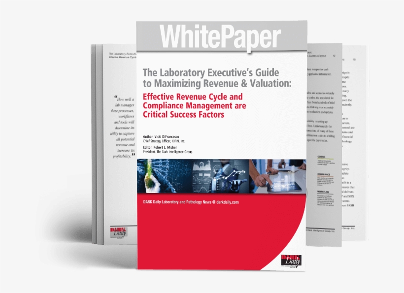 Free White Paper - Hero Image, transparent png #2388894