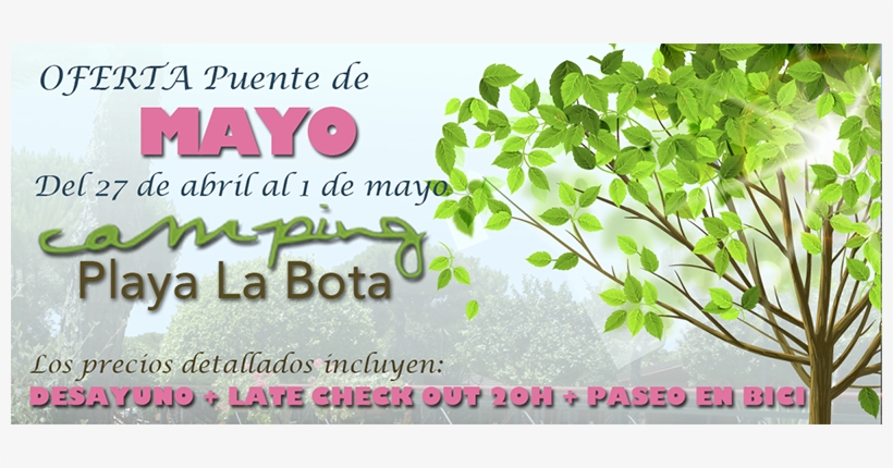 Oferta De Alojamientos Puente De Mayo, transparent png #2389577