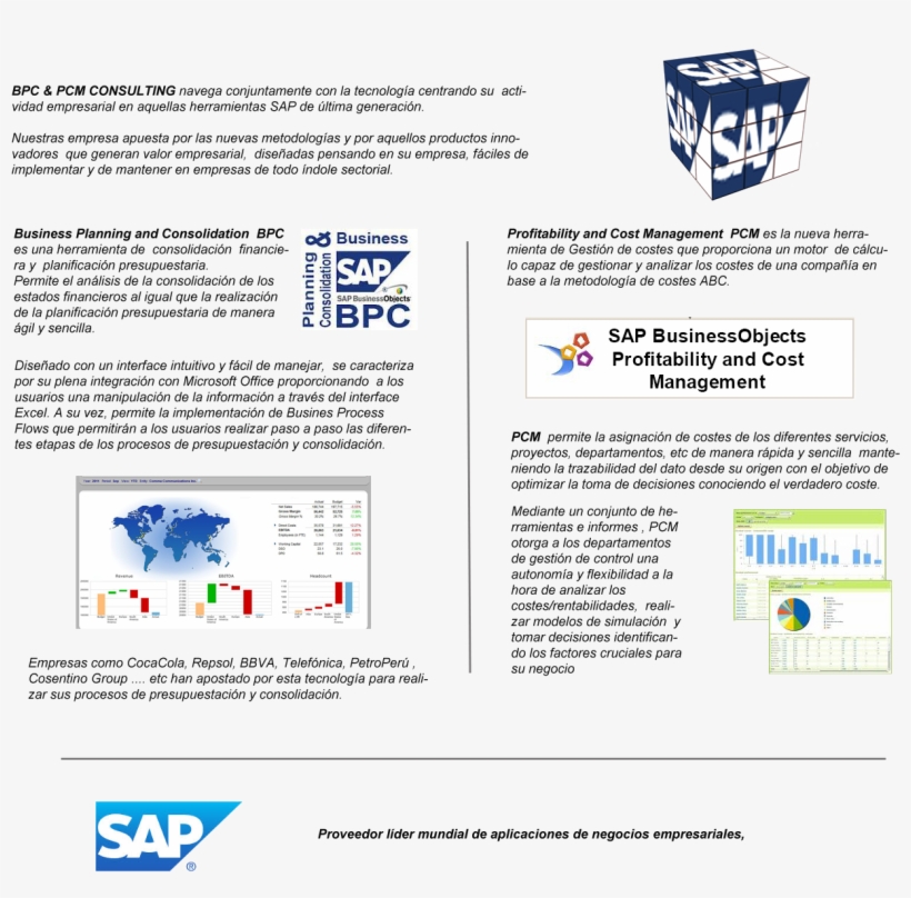 Ir Arriba - - Sap Bpc, transparent png #2390397