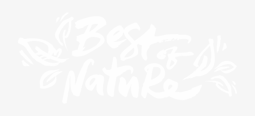 Slide02 - Calligraphy, transparent png #2390434