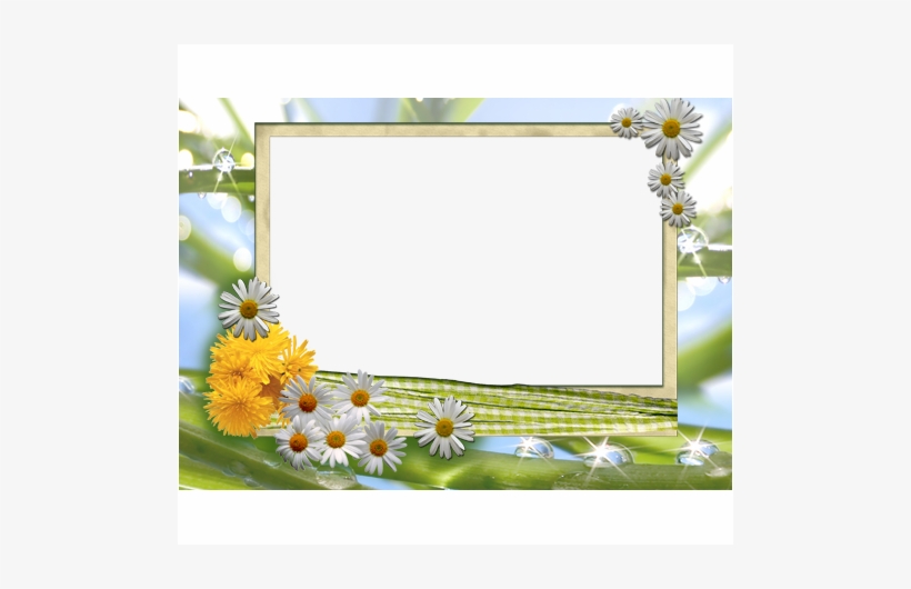 Conniff, Ray - Love Songs (cd), transparent png #2390458