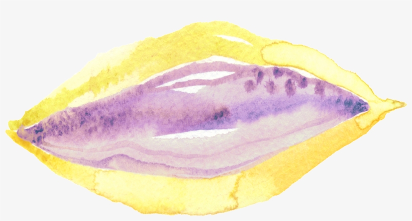 Png Decorativo De Labios Transparente Púrpura Y Hojas - Watercolor Painting, transparent png #2390983