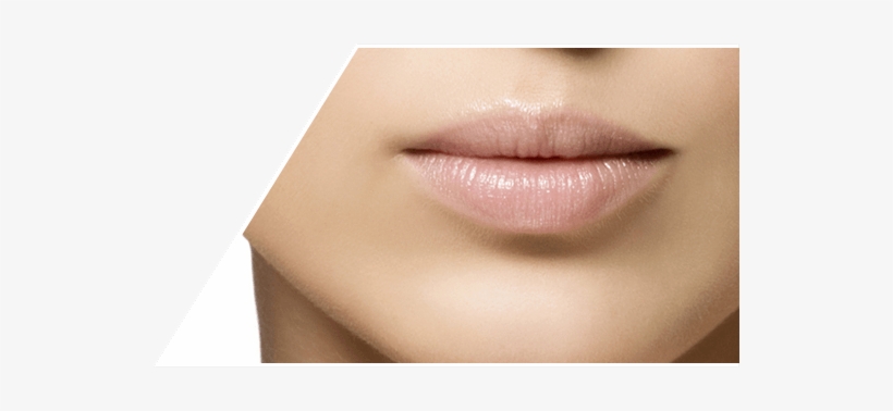 Labios - Lip, transparent png #2391034