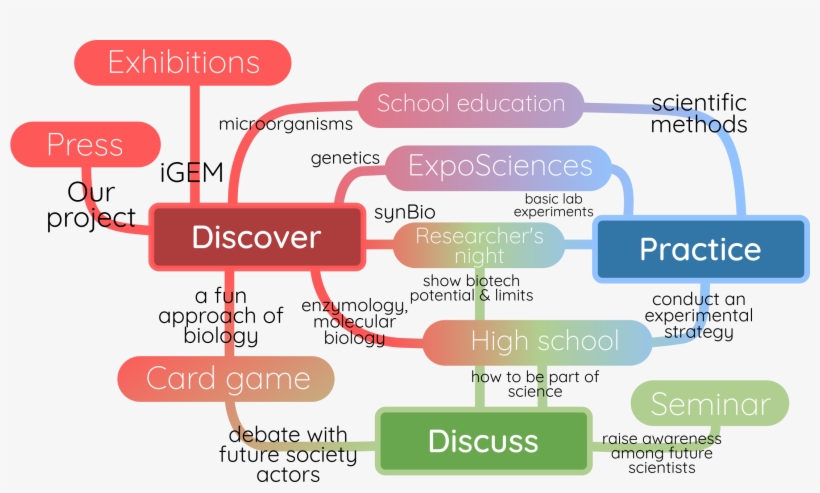 Citizens About Their Capability Of Exchange And Acting - Science, transparent png #2391208