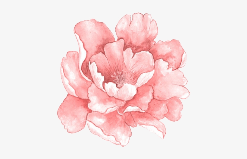 Free Watercolour Flower Png, transparent png #2391486