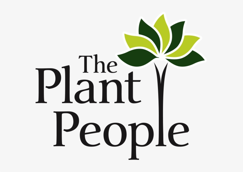 Outcome Focused, transparent png #2391745