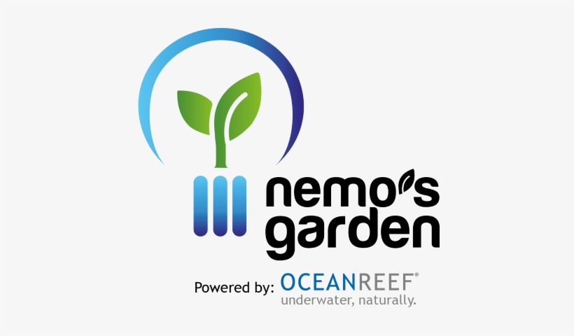 Growing Herbs And Vegetables Under The Sea, transparent png #2392173