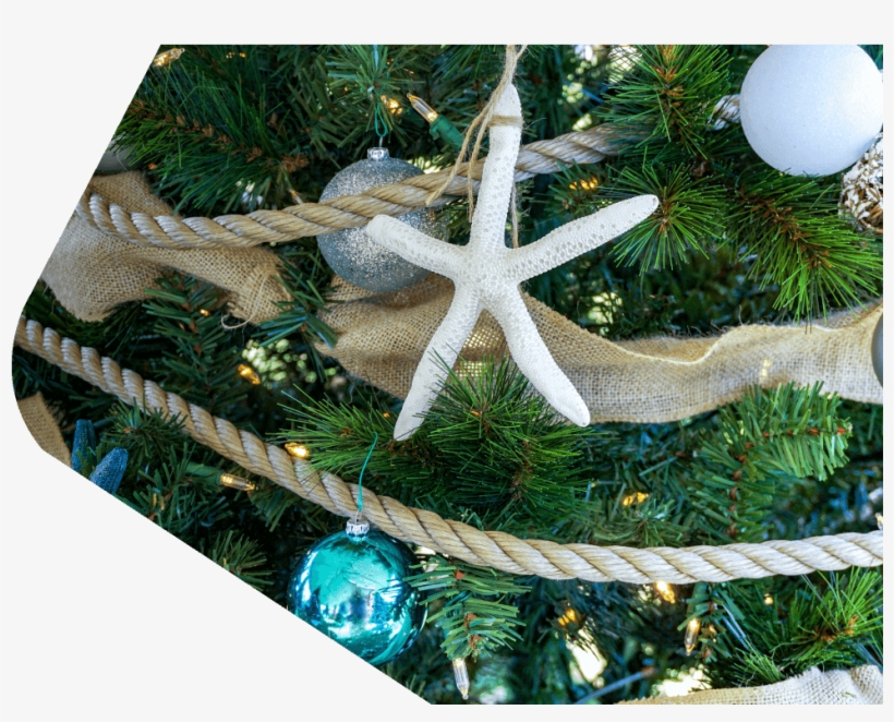 Conoce Más - Christmas Ornament, transparent png #2392288