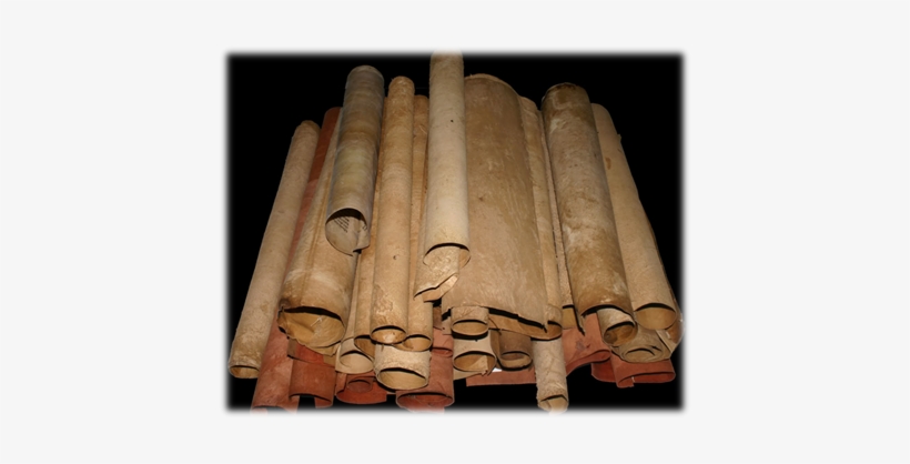 Rollos O Volúmenes De Pergamino - Pergamino De Piel, transparent png #2393211