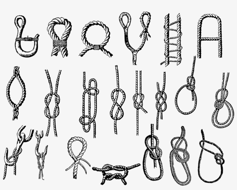 Vector Google Search Sailing - Book Of Knots, transparent png #2393464