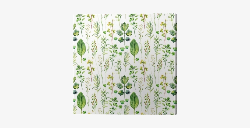 Watercolor Meadow Weeds And Herbs Seamless Pattern - Meadow Weed Watercolor, transparent png #2393467