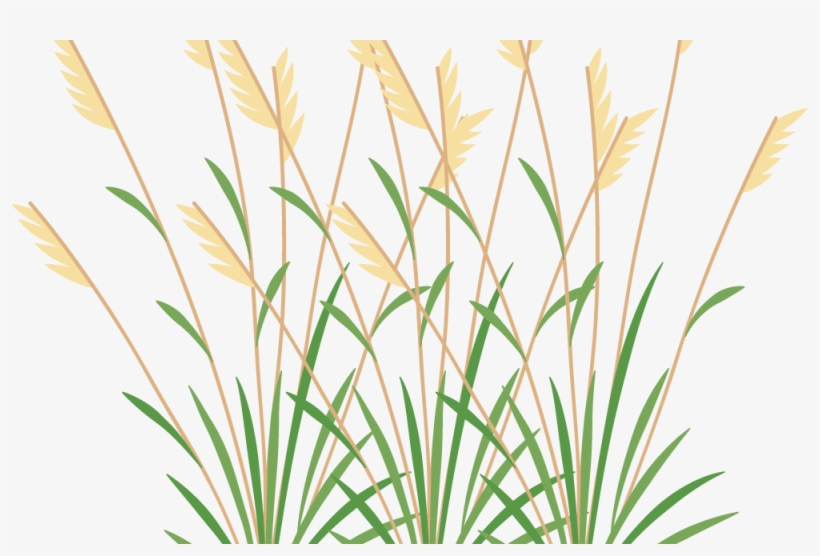 Icon 2 Weeds - Grasses And Weeds Clipart, transparent png #2393618