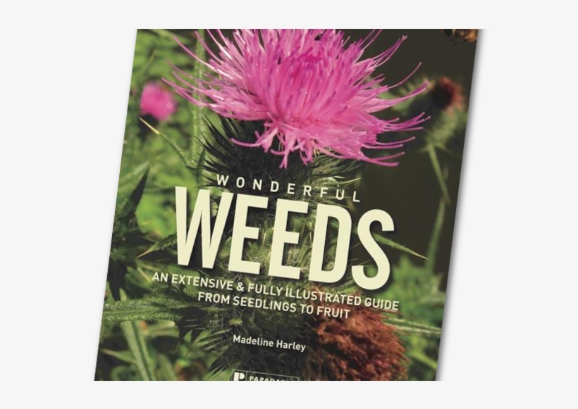 Wonderful Weeds - Wonderful Weeds By Madeline Harley, transparent png #2393646