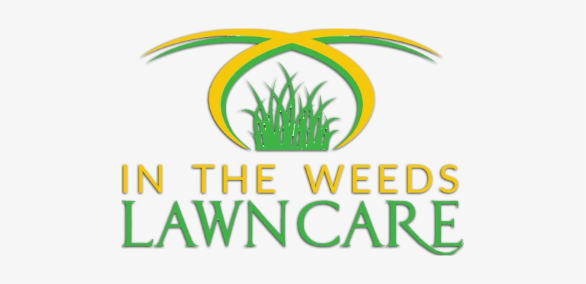 Follow - Lawyer, transparent png #2393669