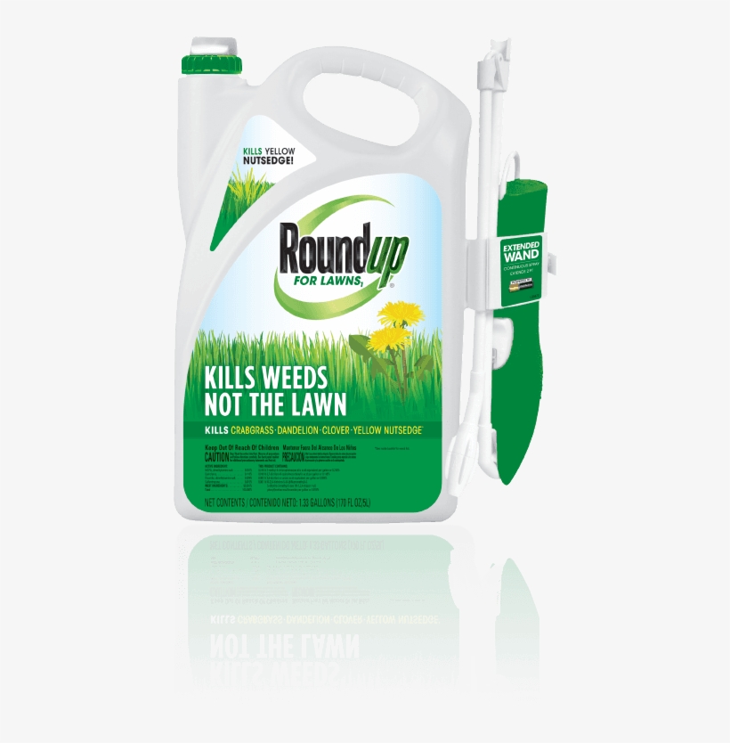 Roundup For Lawns • Weed Killer - Roundup For Lawns Rtu Wand Northern 1.33 Gallon, transparent png #2393716