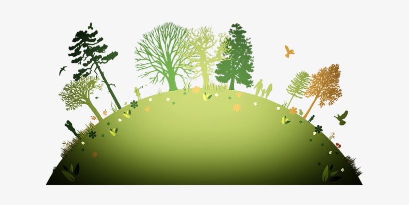 The Best Strategies For Controlling Weeds In The Home - Plant A Tree Background, transparent png #2393892