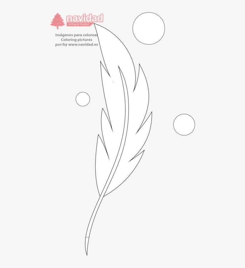 Pluma Y Burbujas - Illustration, transparent png #2394544