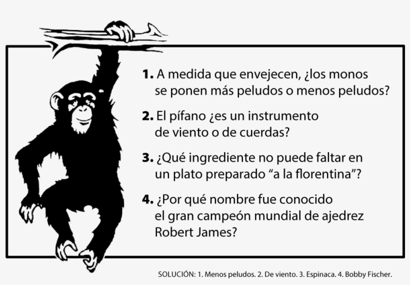 Preguntas De Mente - Home Decor Monkey Removable Wall, transparent png #2395251