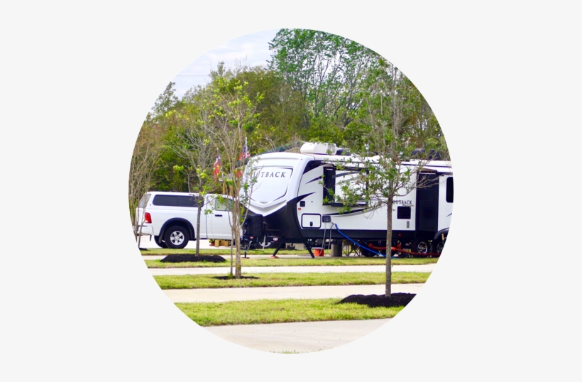 View Rv Park Accommodations - Tree, transparent png #2396086