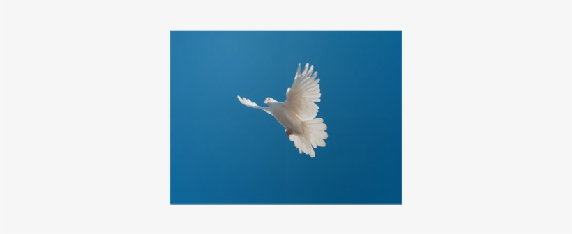 Kendi̇ Dünyamiza Doğru: Ruhumuzun Heykelini Dikerken-2, transparent png #2396322