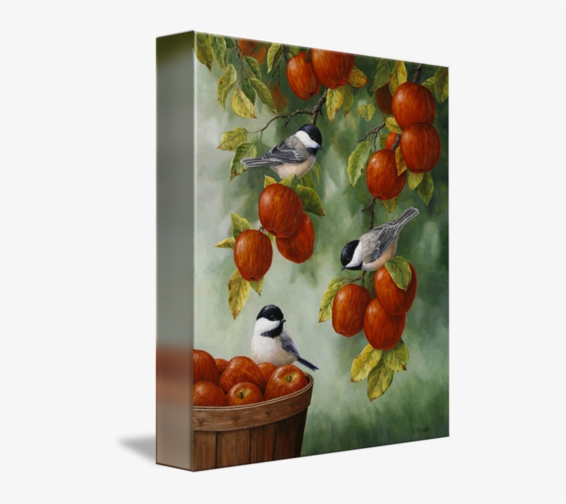 "apple Harvest Chickadees" By Crista Forest, Seattle - Crista Forest - Apple Harvest Chickadees Canvas, transparent png #2396703