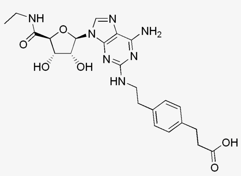 File - Cgs21680 - Cgs 21680, transparent png #2397378