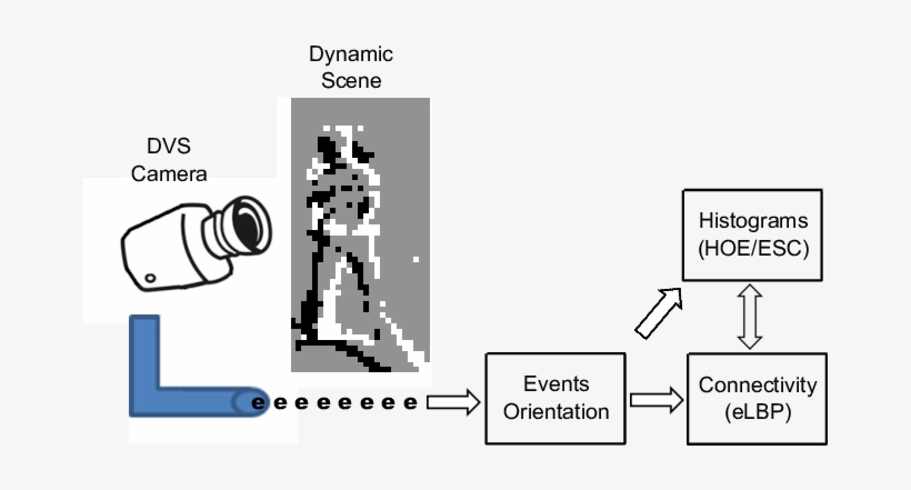 The Image Shows The Hoe, Esc And Elbp Feature Extraction - Feature Extraction, transparent png #2397473
