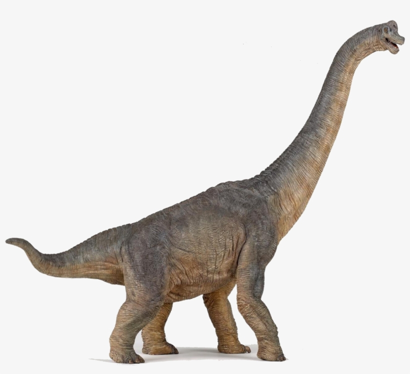 Dinosaurs Png Photo - Papo Dinosaurs - Brachiosaurus 55030, transparent png #241154