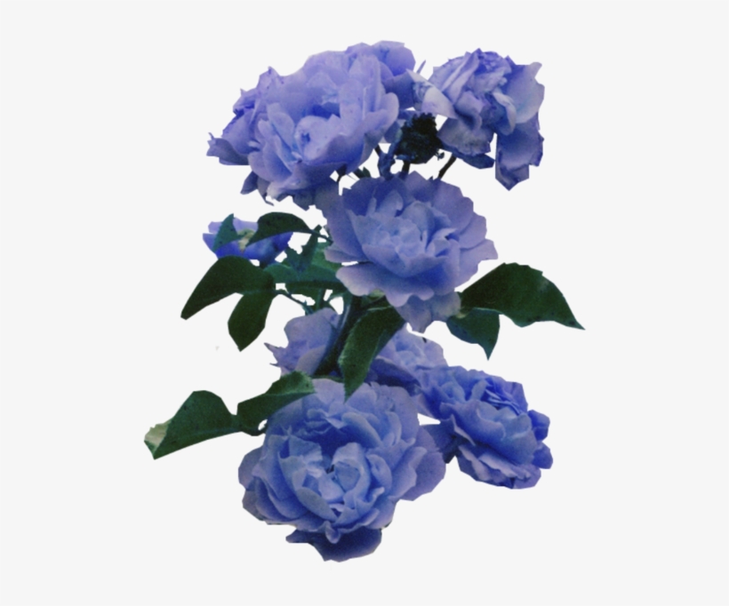 68 Images About 💐tumblr Flower Png💐 On We Heart It - Flores Azules Png, transparent png #241392