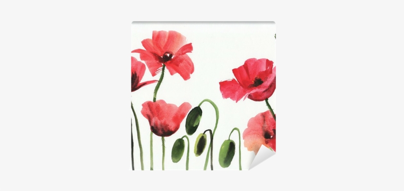 Watercolor Painting Of Red Poppies Wall Mural • Pixers® - Papavero Watercolor, transparent png #241643