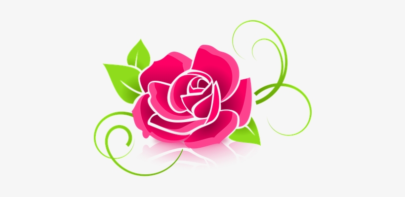 Rose Graphic Flower Deco Decorative Floral - Grupo Rosa De Saron, transparent png #241826