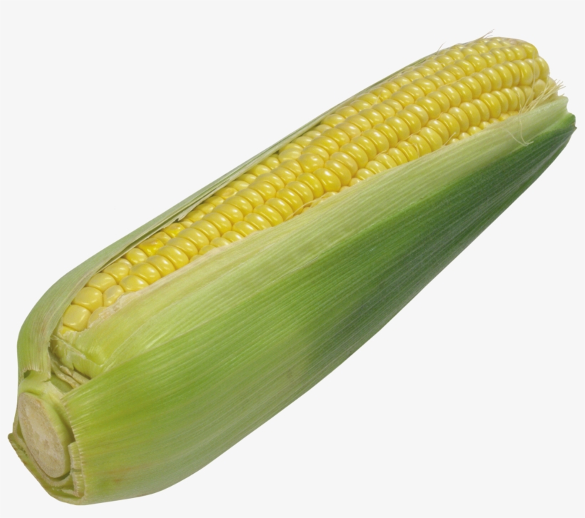 Free Png Corn Png Images Transparent - Transparent Corn, transparent png #241868