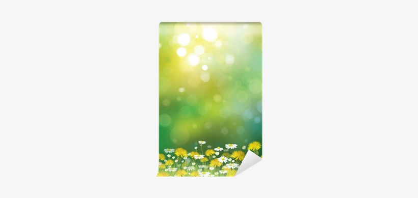 Vector Sunshine Background With Chamomiles And Dandelions - Komar Wall Mural Xxl, transparent png #242343