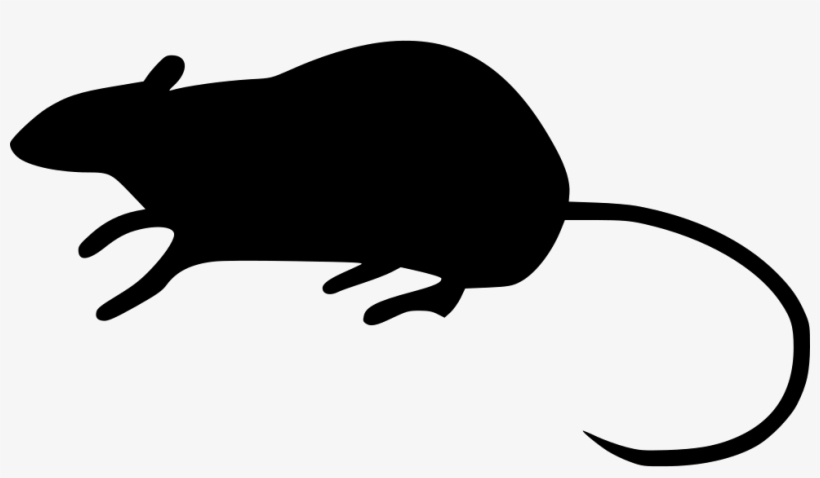 Png File - Portable Network Graphics, transparent png #242696