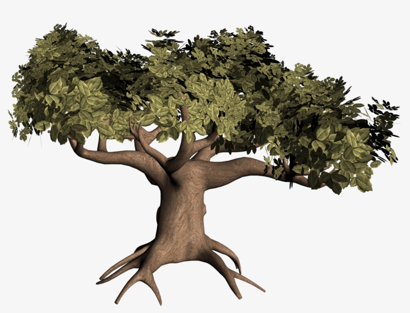 3d Tree Png Png Library, transparent png #243006