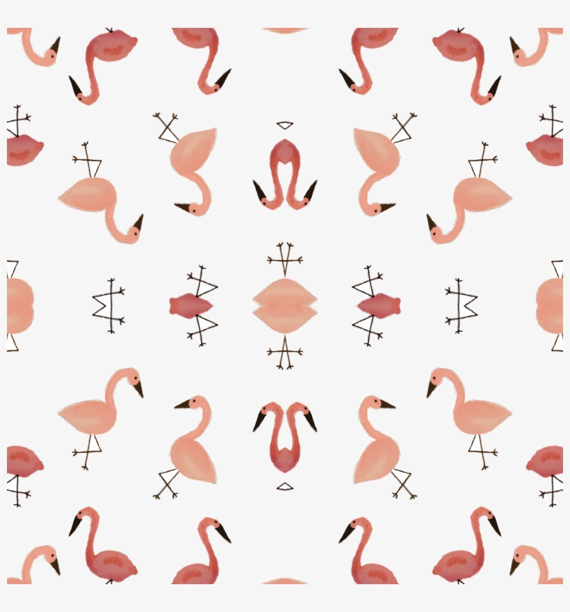 Greater Flamingo, transparent png #243026