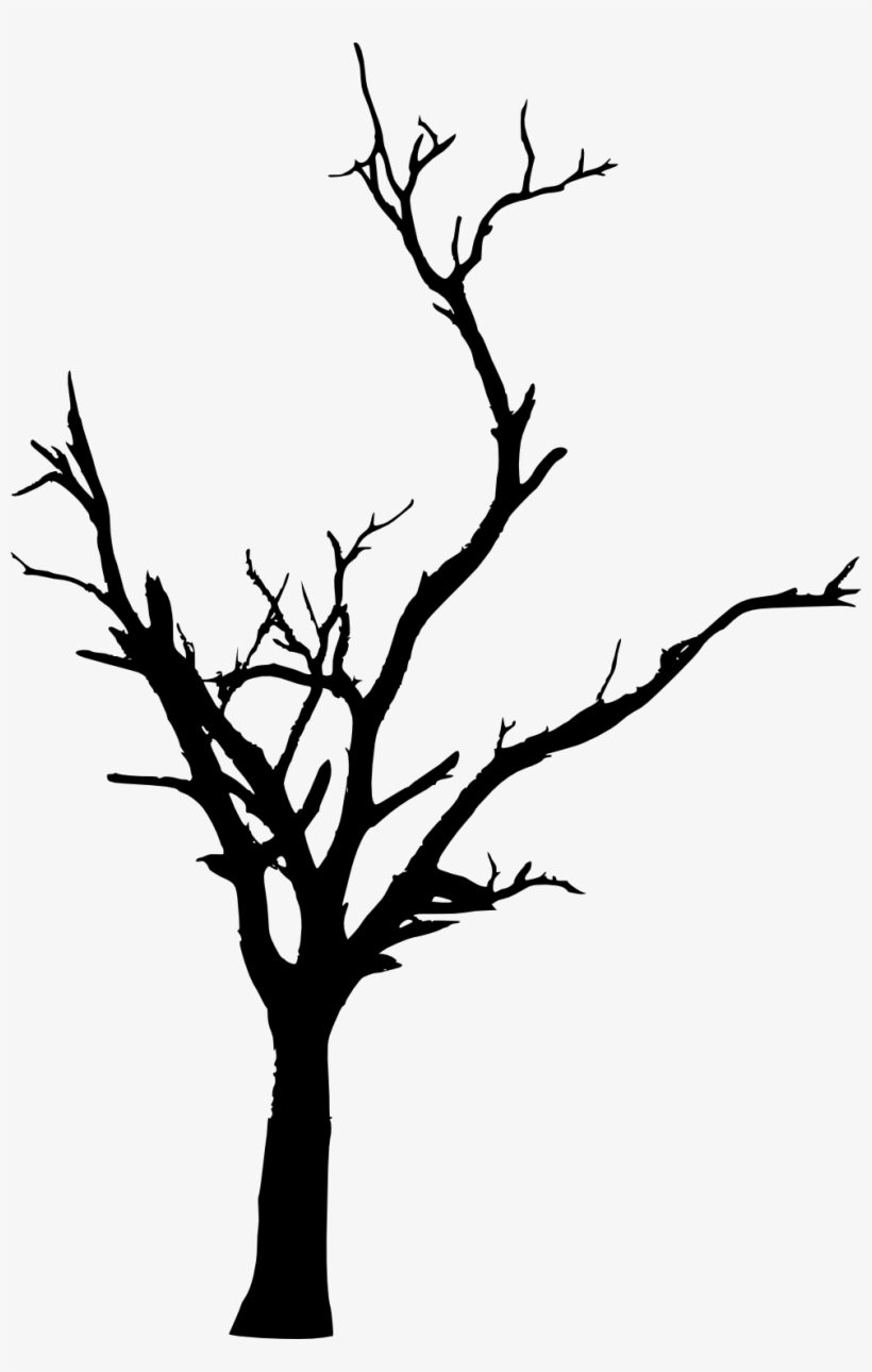 Dead Tree Png Download - Dead Tree Transparent, transparent png #243262