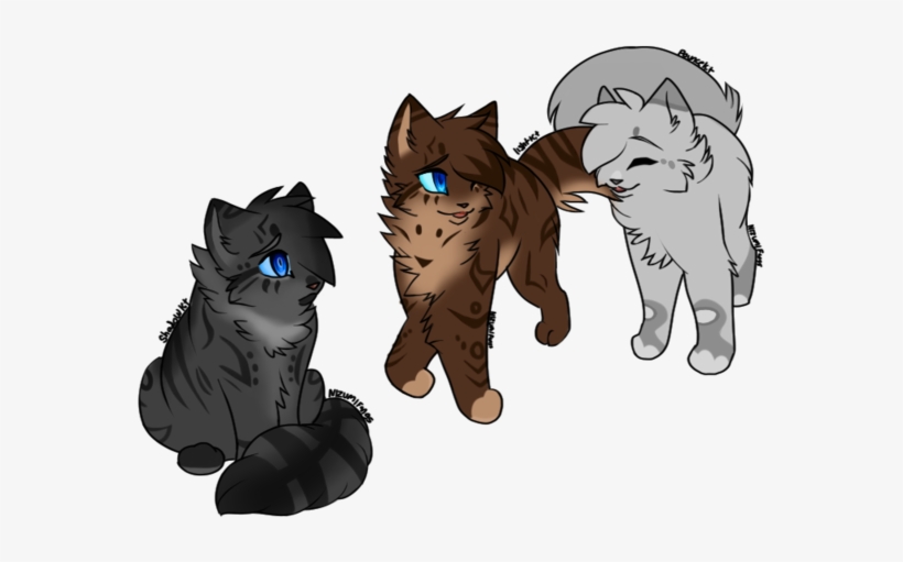 Shadowkit , Lightkit And Pouncekit By Nizumifangs - Warriors Shadowkit Lightkit Pouncekit, transparent png #243263