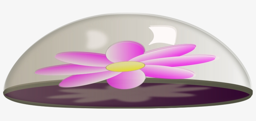 Flower In Glass Paper Weight Free Vector - Paper Weight Clipart, transparent png #243427