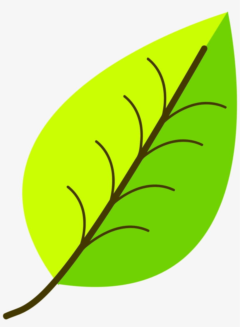 28 Collection Of Leaves Drawing Png - Clip Art Of Leaf, transparent png #243596