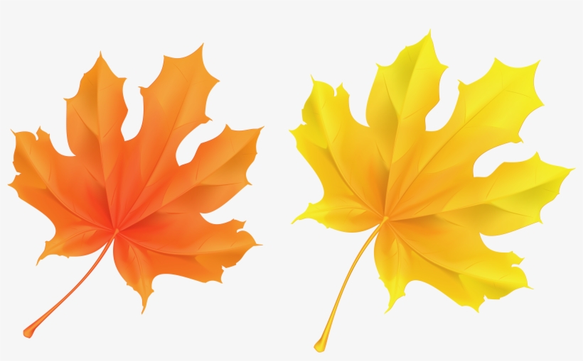 Leaves Clipart Transparent - Orange Leaves, transparent png #243982
