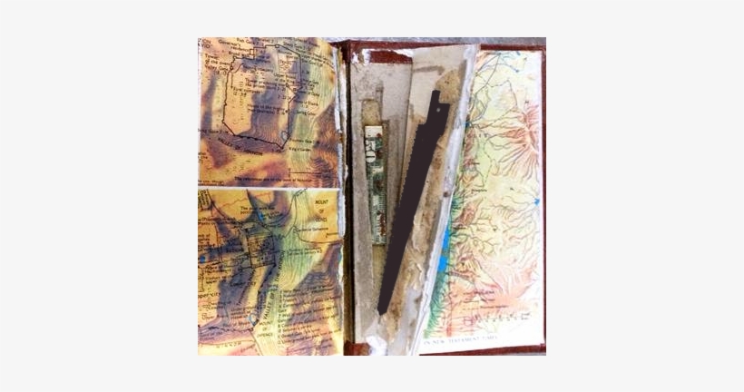 The Craziest Stuff People Tried To Sneak Onto Aeroplanes - Airport, transparent png #244007