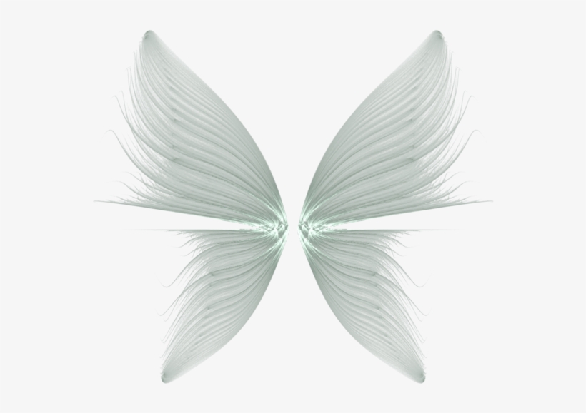Angel Halo Png For Kids - Transparent Background Wings Png, transparent png #244375