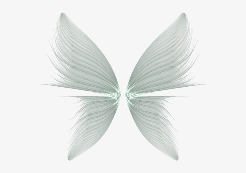 Angel Halo Png For Kids Transparent Background Wings Png Free Transparent Png Download Pngkey - roblox halo and wings