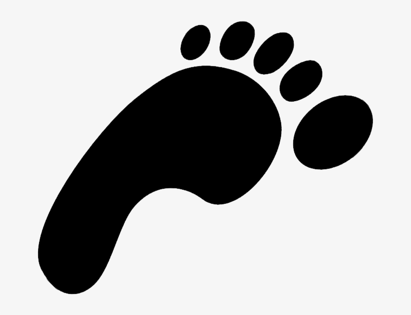 Dinosaur Footprint Clip Art - Footprint Clipart No Background, transparent png #244377